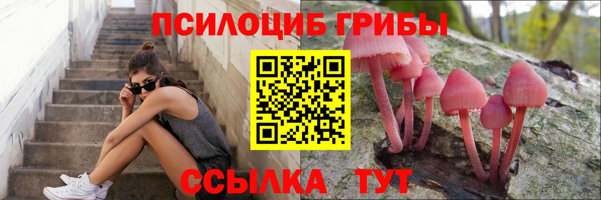 Галлюциногенные грибы Psilocybe  Псилоцибиновые грибы MAGIC MUSHROOMS  купить наркоту  Вход с VPN  Ялуторовск 
