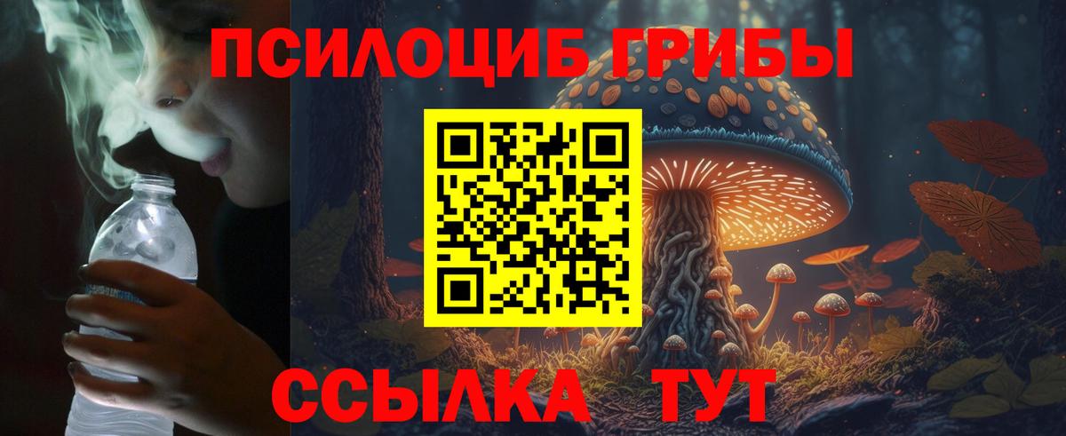 Псилоцибиновые грибы Cubensis Ялуторовск